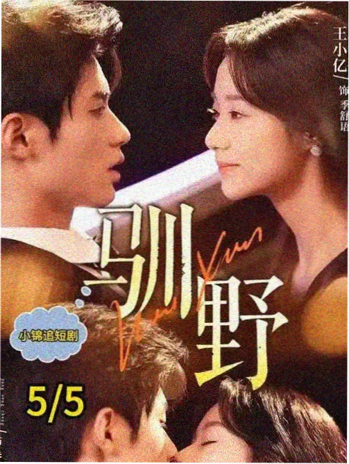 abc影视索引卡：电视剧 长夜编目人 封面